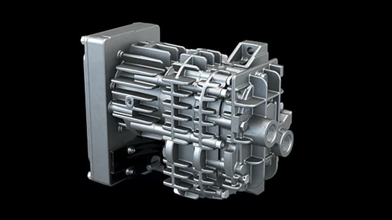 Busch Mink Claw Pumps