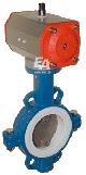 butterfly-valve-protech-international.gif